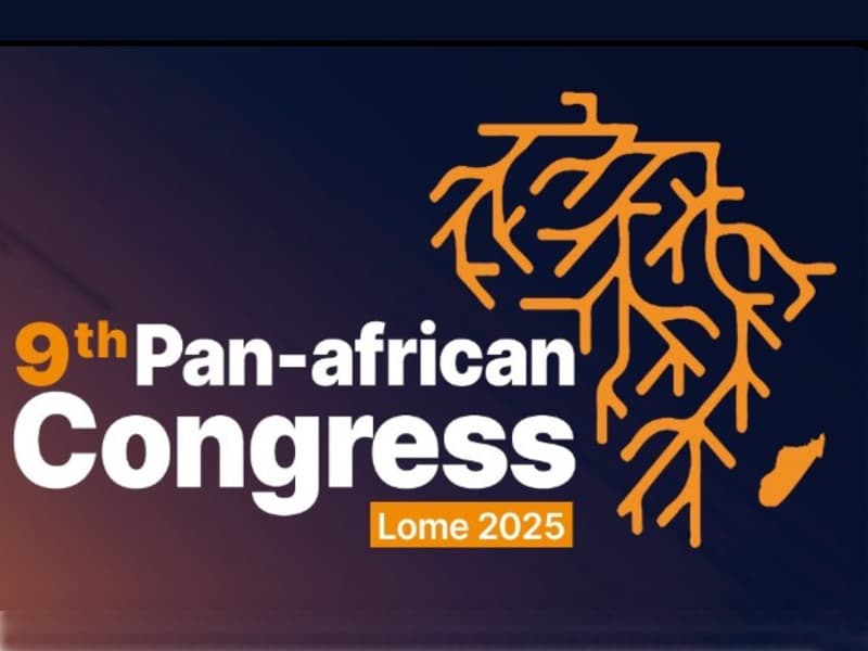 The Pan-African Imperative